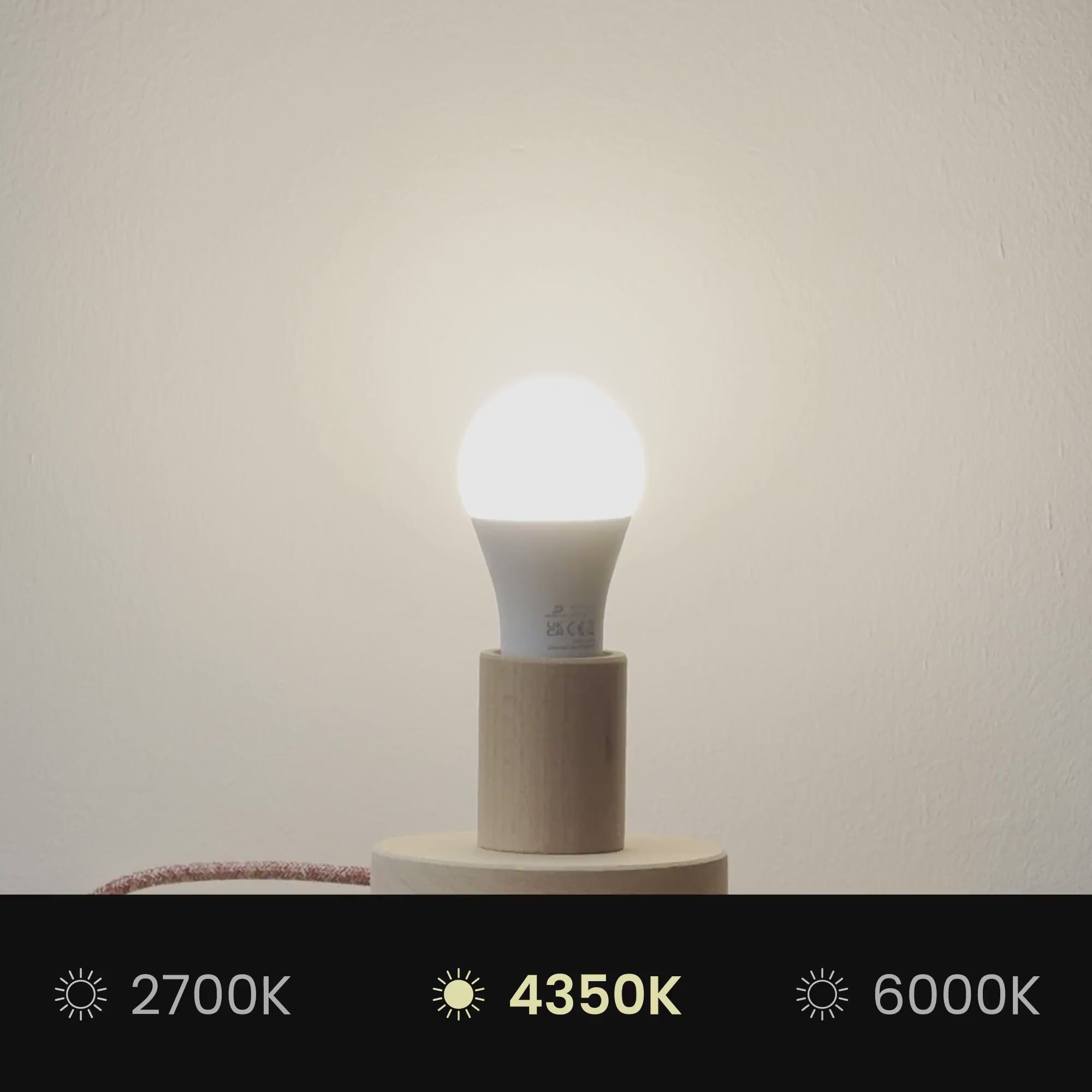 Charger la vidéo : Abat-jour Athena avec douille E27 pour lampe de table ou sur pied - Fabriqué en Italie - Arenal Or