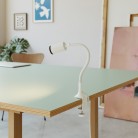 Pince de table MAG-Y