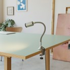 Pince de table MAG-Y