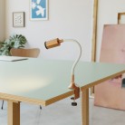 Pince de table MAG-Y