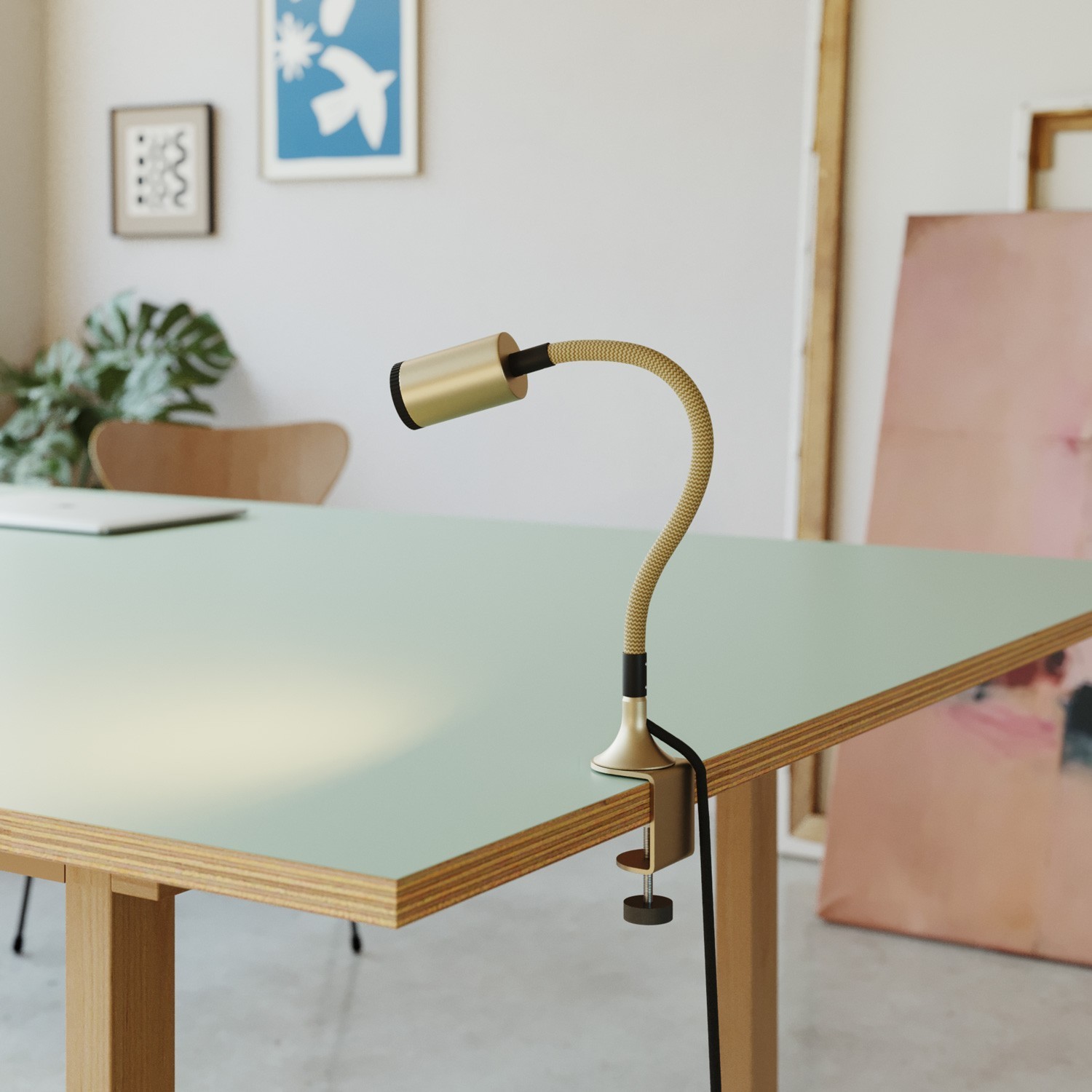 Pince de table MAG-Y