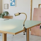 Pince de table MAG-Y