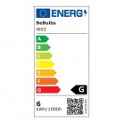 LED Lamp Filament G95 Wit Globe 5,9W 500Lm E27 2700K Dimbaar - W03