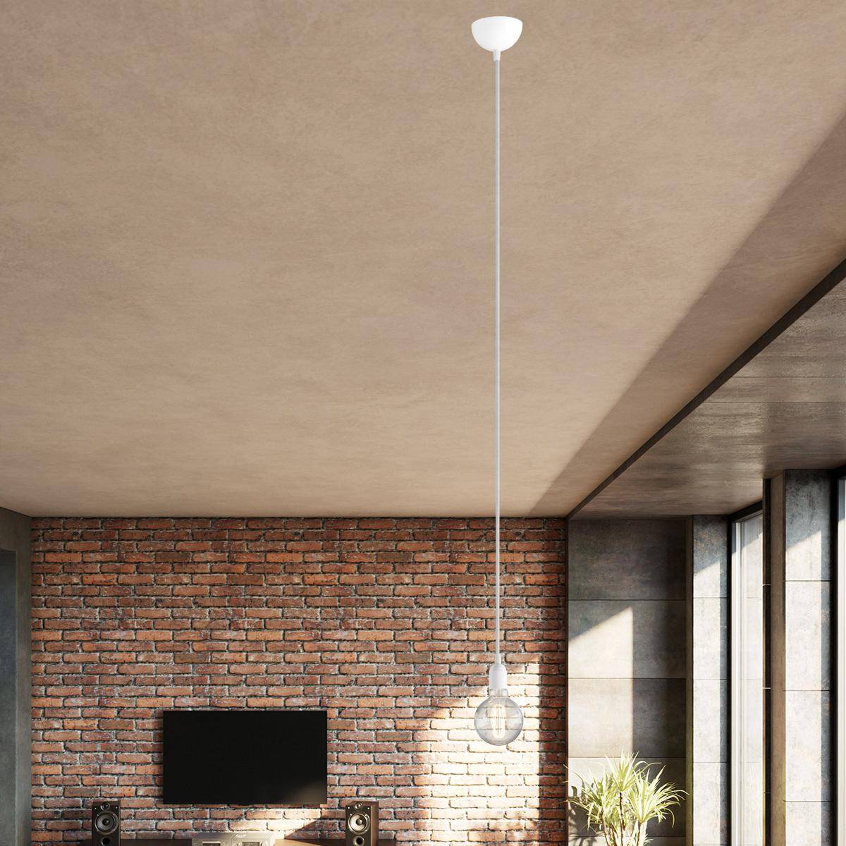 Single Pendant Lighting with Zichtbare lamp